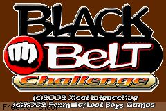 Black Belt Challenge Screen Shot 1