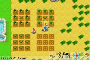 Harvest Moon - More Friends Of Mineral Town Screen Shot 2