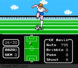 Tecmo Cup - Soccer Game Screen Shot 2