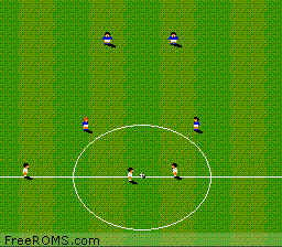 Championship Soccer '94 Screen Shot 2