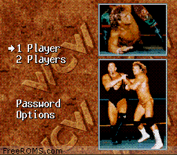 WCW Super Brawl Wrestling Screen Shot 1