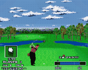 World Masters Golf Screen Shot 2