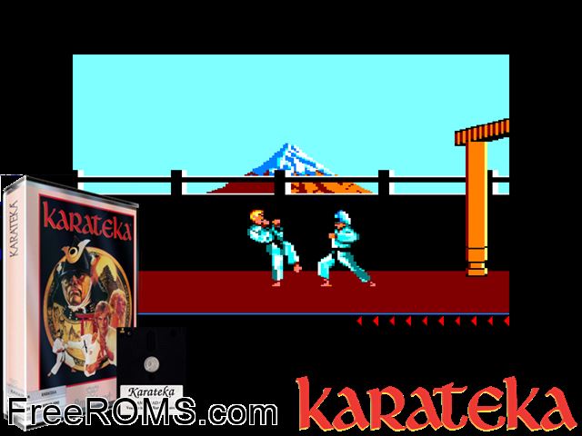 Dark Side and Karateka (F) Amstrad CPC game showing 3D box cover and gameplay screenshot