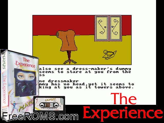 Experience, The (UK) (1985) Amstrad CPC game showing 3D box cover and gameplay screenshot