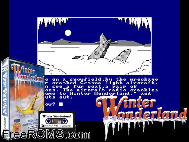 Winter Wonderland (UK) (19xx) Amstrad CPC game showing 3D box cover and gameplay screenshot