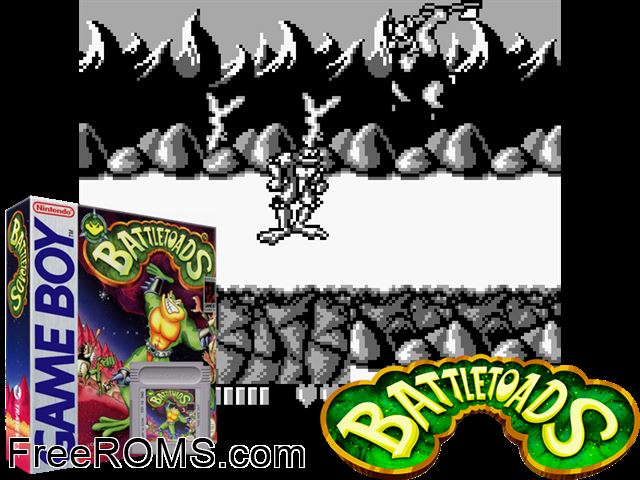 Battletoads Gameboy Color game showing 3D box cover and gameplay screenshot