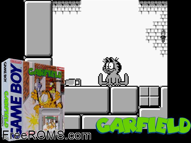 Garfield Labyrinth Gameboy Color game showing 3D box cover and gameplay screenshot