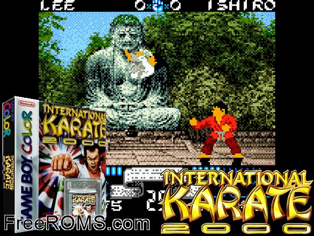 International Karate Gameboy Color game showing 3D box cover and gameplay screenshot