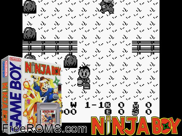 Ninja Boy Gameboy Color game showing 3D box cover and gameplay screenshot