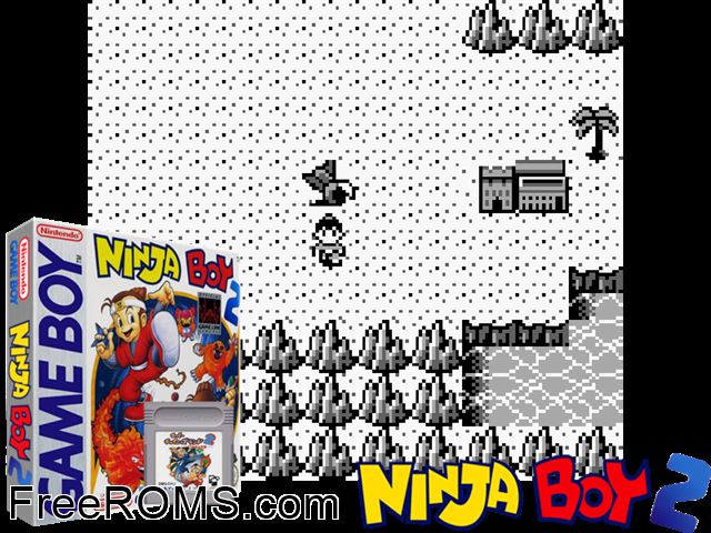 Ninja Boy 2 Gameboy Color game showing 3D box cover and gameplay screenshot