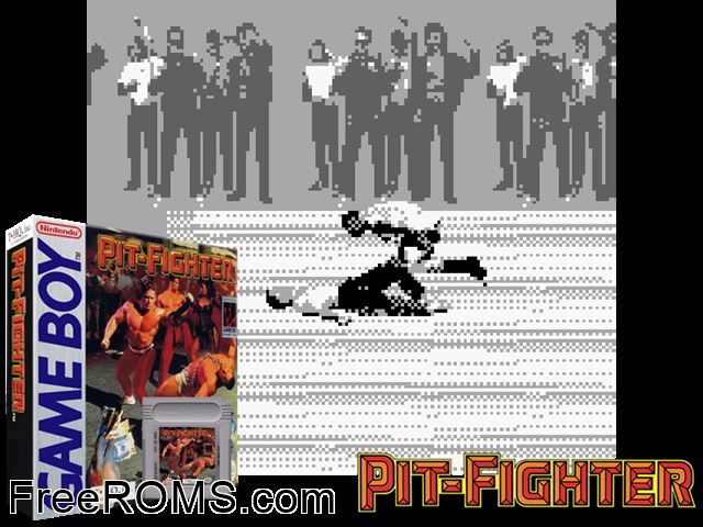 Pit Fighter Gameboy Color game showing 3D box cover and gameplay screenshot
