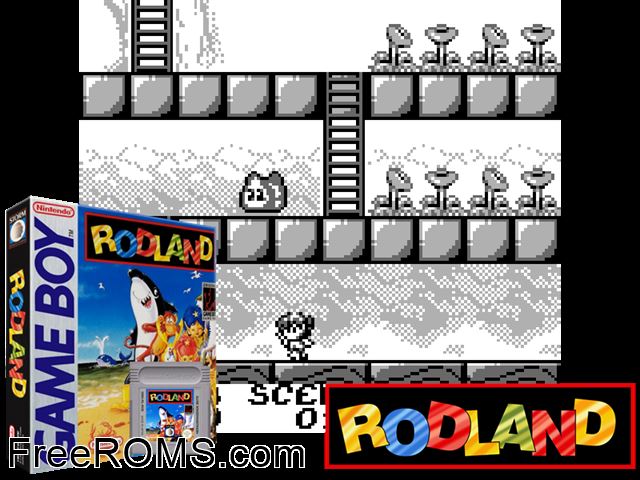Rodland Gameboy Color game showing 3D box cover and gameplay screenshot