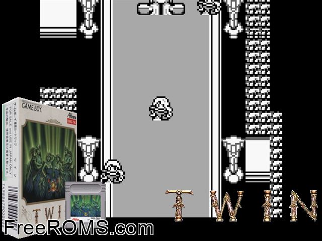 Twin (Japan) Gameboy Color game showing 3D box cover and gameplay screenshot