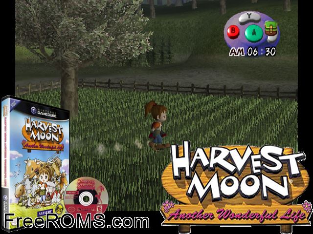 Harvest Moon - Another Wonderful Life Nintendo Gamecube game showing 3D box cover and gameplay screenshot