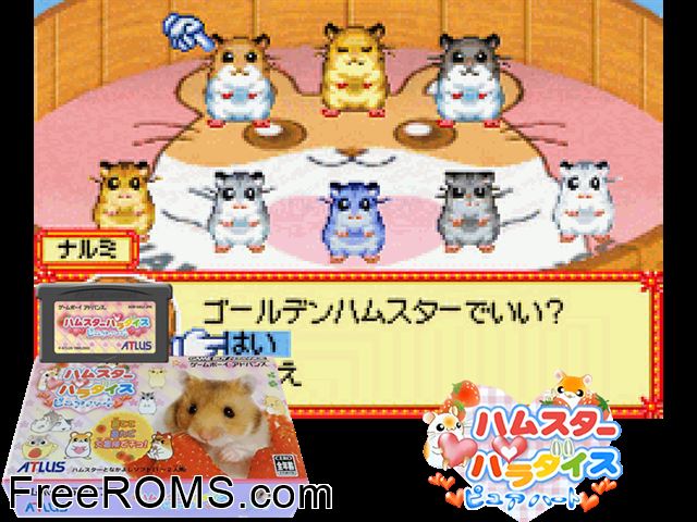 Hamster Paradise - Pure Heart (Japan) Gameboy Advance game showing 3D box cover and gameplay screenshot