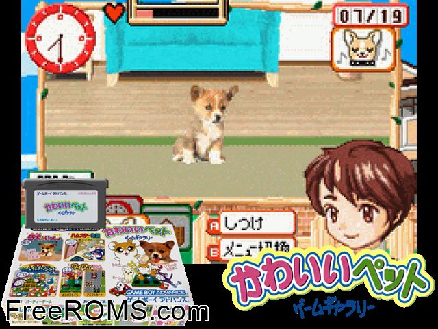 Kawaii Pet Game Gallery (Japan) Gameboy Advance game showing 3D box cover and gameplay screenshot