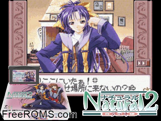 Natural 2 - Duo (Japan) Gameboy Advance game showing 3D box cover and gameplay screenshot