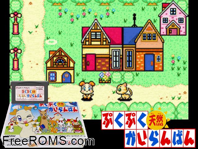 Pukupuku Tennen Kairanban (Japan) Gameboy Advance game showing 3D box cover and gameplay screenshot