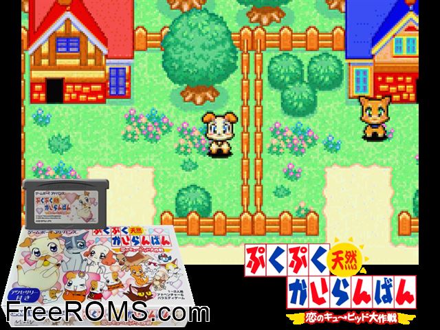 Pukupuku Tennen Kairanban - Koi No Cupid Daisakusen (Japan) Gameboy Advance game showing 3D box cover and gameplay screenshot