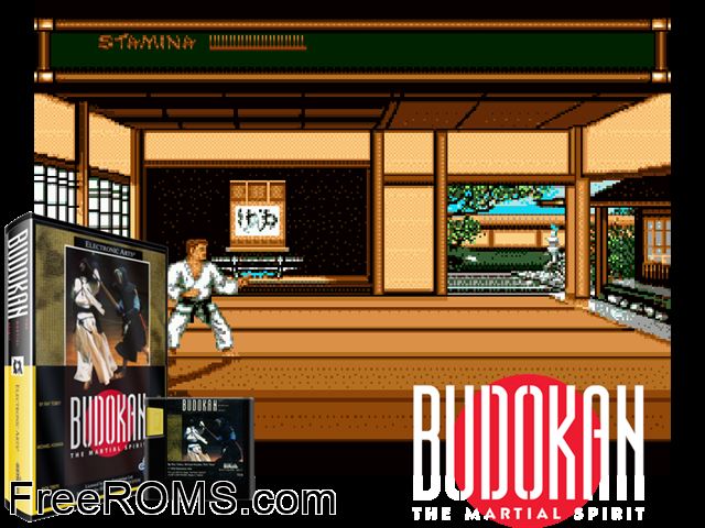 Budokan - The Martial Spirit Genesis game showing 3D box cover and gameplay screenshot