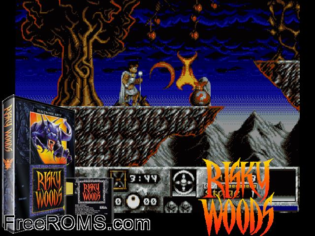 Risky Woods Genesis game showing 3D box cover and gameplay screenshot