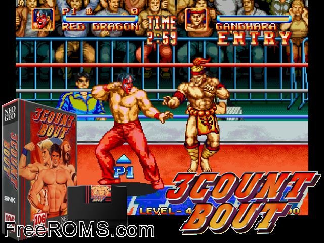 3 Count Bout / Fire Suplex MAME game showing 3D box cover and gameplay screenshot