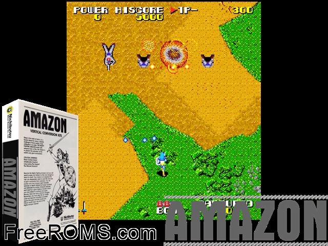 Soldier Girl Amazon MAME game showing 3D box cover and gameplay screenshot