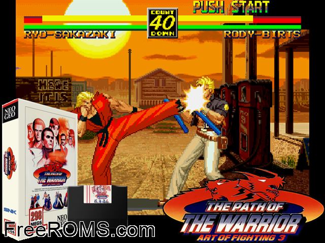 Art of Fighting 3 - The Path of the Warrior / Art of Fighting - Ryuuko no Ken Gaiden MAME game showing 3D box cover and gameplay screenshot