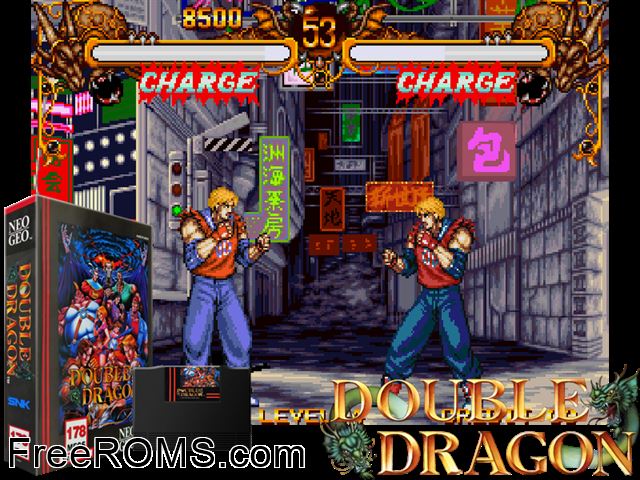 Double Dragon (Neo-Geo) MAME game showing 3D box cover and gameplay screenshot