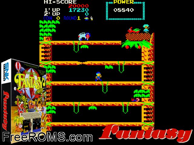 Fantasy (World) MAME game showing 3D box cover and gameplay screenshot
