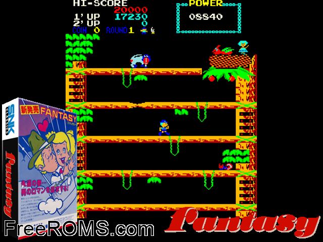 Fantasy (Japan) MAME game showing 3D box cover and gameplay screenshot