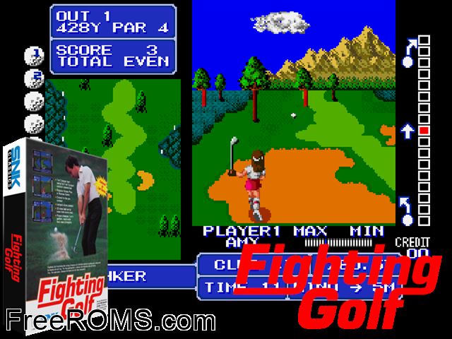 Fighting Golf (US) MAME game showing 3D box cover and gameplay screenshot