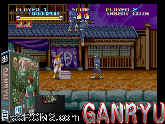 Ganryu / Musashi Ganryuki MAME game showing 3D box cover and gameplay screenshot