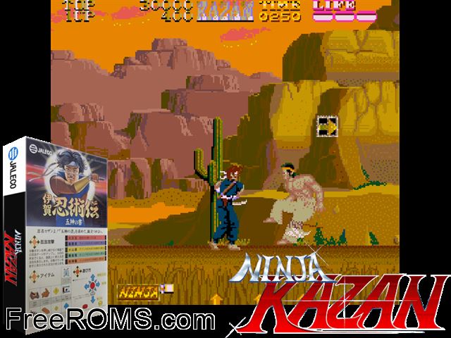 Iga Ninjyutsuden (Japan) MAME game showing 3D box cover and gameplay screenshot