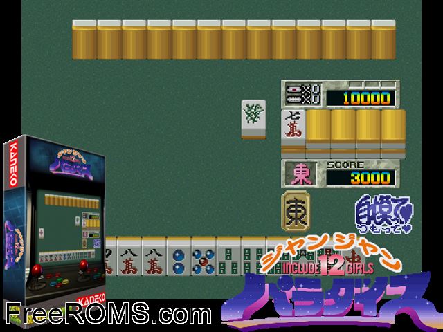 Jan Jan Paradise MAME game showing 3D box cover and gameplay screenshot