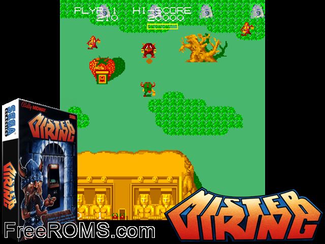 Mister Viking (Japan) MAME game showing 3D box cover and gameplay screenshot