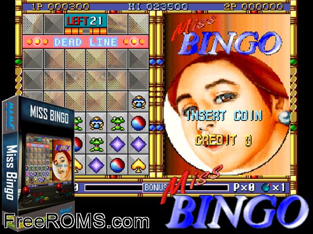 Miss Bingo MAME game showing 3D box cover and gameplay screenshot