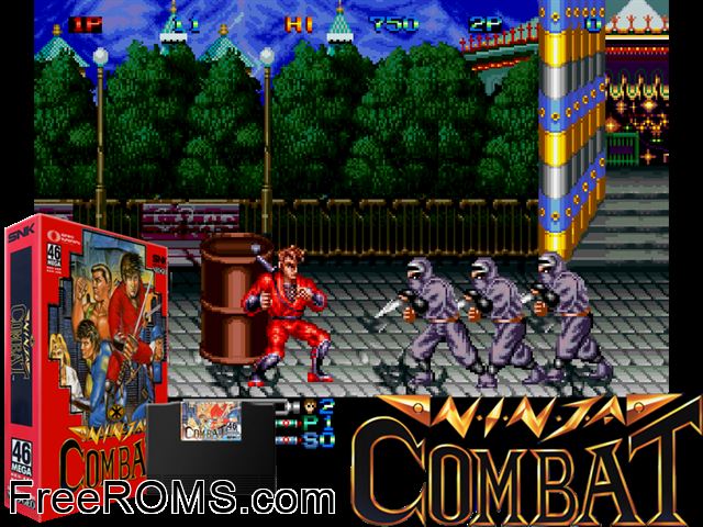 Ninja Combat (set 1) MAME game showing 3D box cover and gameplay screenshot