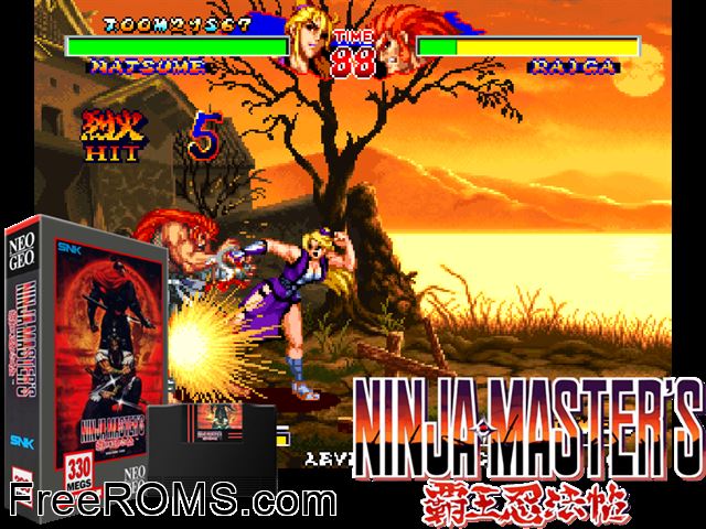 Ninja Master's - haoh-ninpo-cho MAME game showing 3D box cover and gameplay screenshot