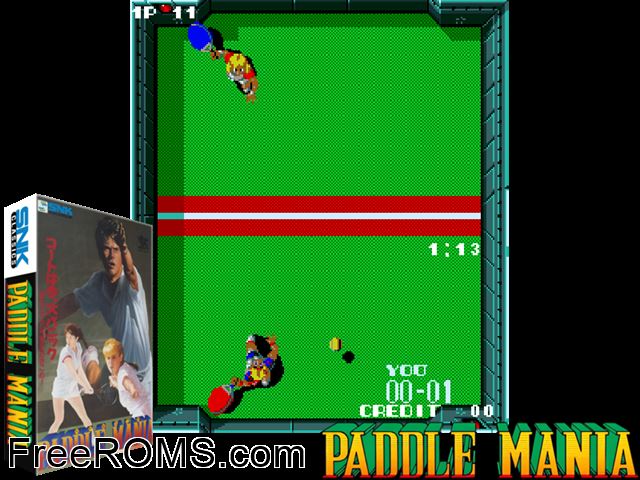 Paddle Mania MAME game showing 3D box cover and gameplay screenshot