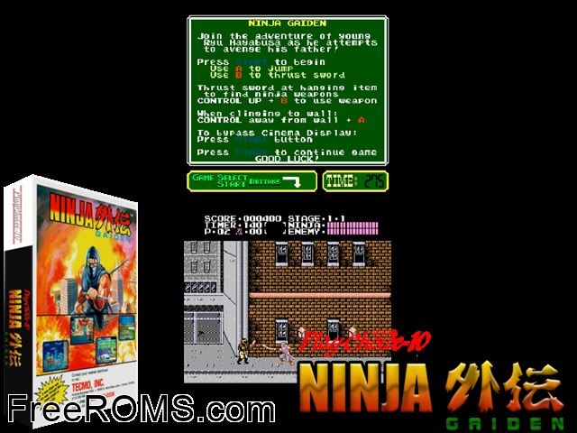 Ninja Gaiden (PlayChoice-10) MAME game showing 3D box cover and gameplay screenshot