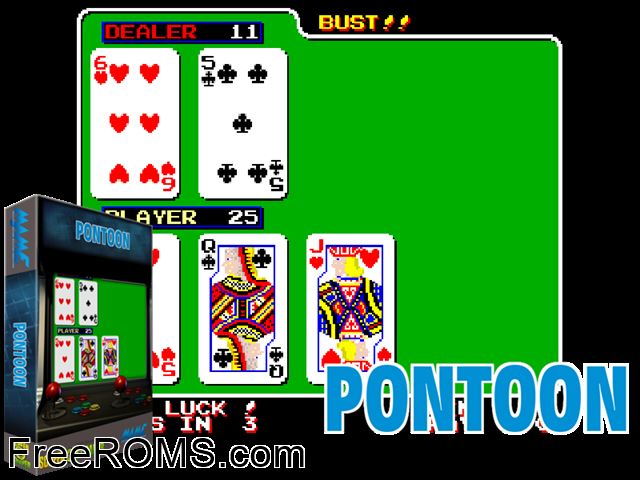 Pontoon MAME game showing 3D box cover and gameplay screenshot