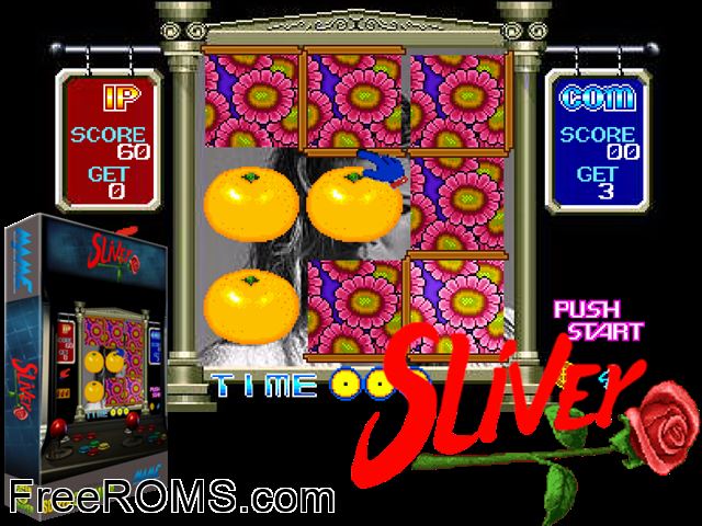 Sliver MAME game showing 3D box cover and gameplay screenshot