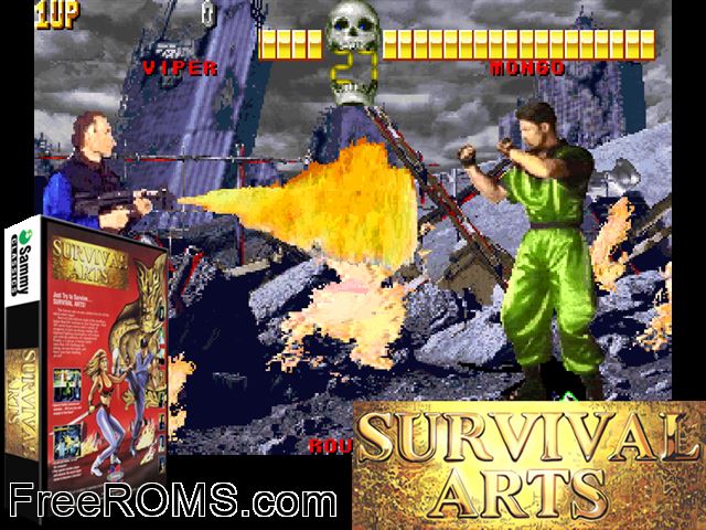 Survival Arts (World) MAME game showing 3D box cover and gameplay screenshot