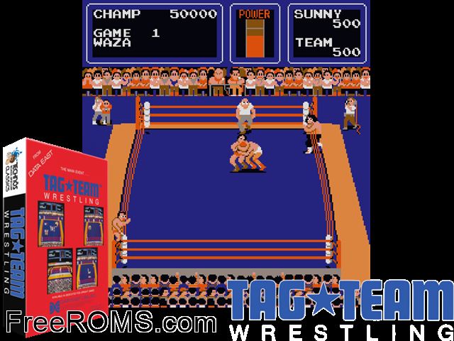 Tag Team Wrestling MAME game showing 3D box cover and gameplay screenshot