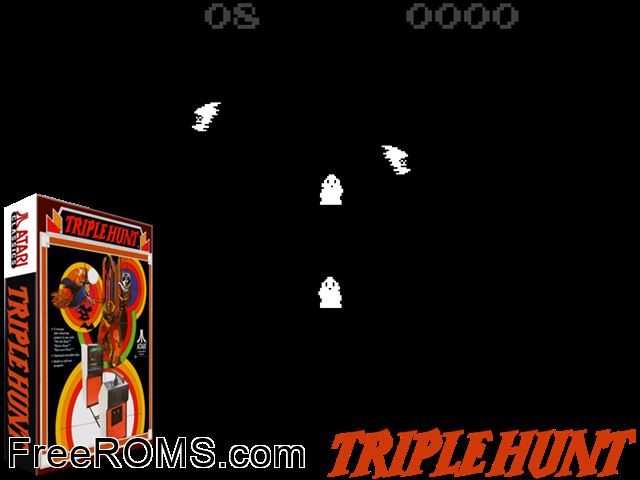 Triple Hunt MAME game showing 3D box cover and gameplay screenshot
