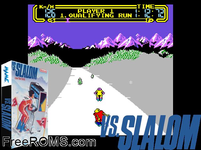 Vs. Slalom MAME game showing 3D box cover and gameplay screenshot