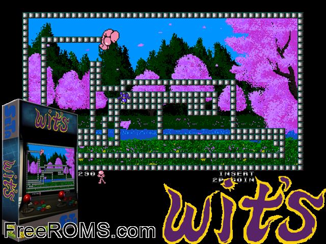 Wit's (Japan) MAME game showing 3D box cover and gameplay screenshot