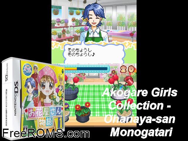 Akogare Girls Collection - Ohanaya-San Monogatari Japan NDS game showing 3D box cover and gameplay screenshot