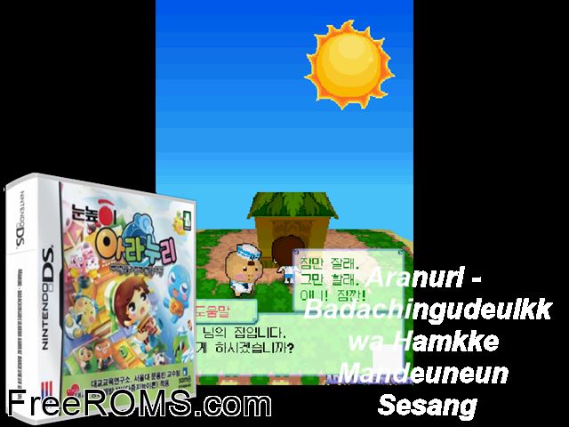 Aranuri Korea NDS game showing 3D box cover and gameplay screenshot